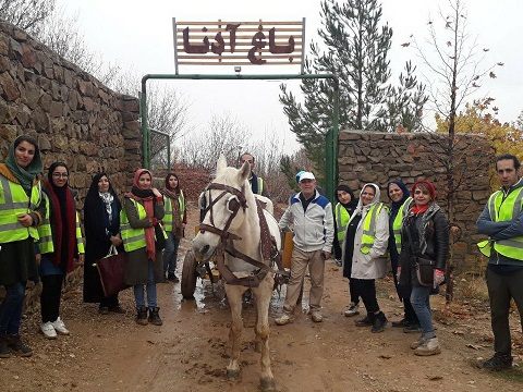 20.    اسب سفید آرزو ها، مردم روستای پسکوهک را به آرزو هایش رساند